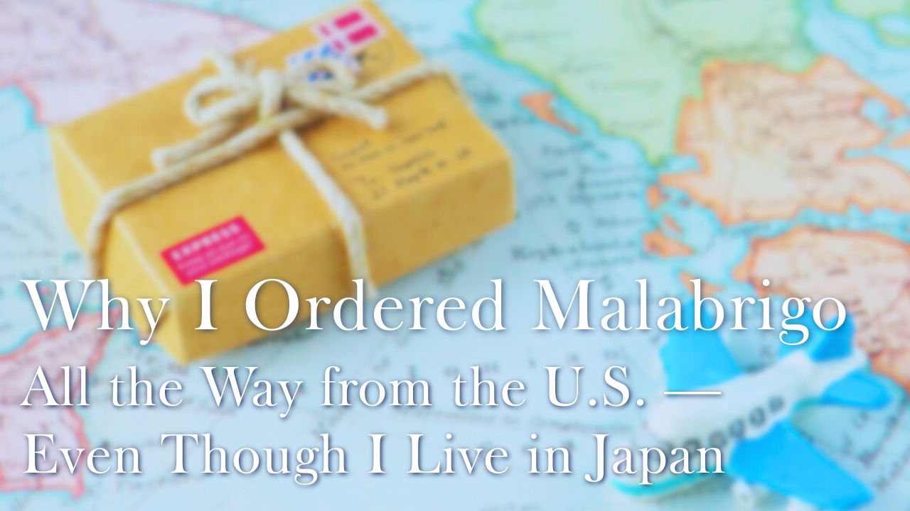 A symbolic photo of yarn shopping across borders — ordering Malabrigo from the U.S. to Japan